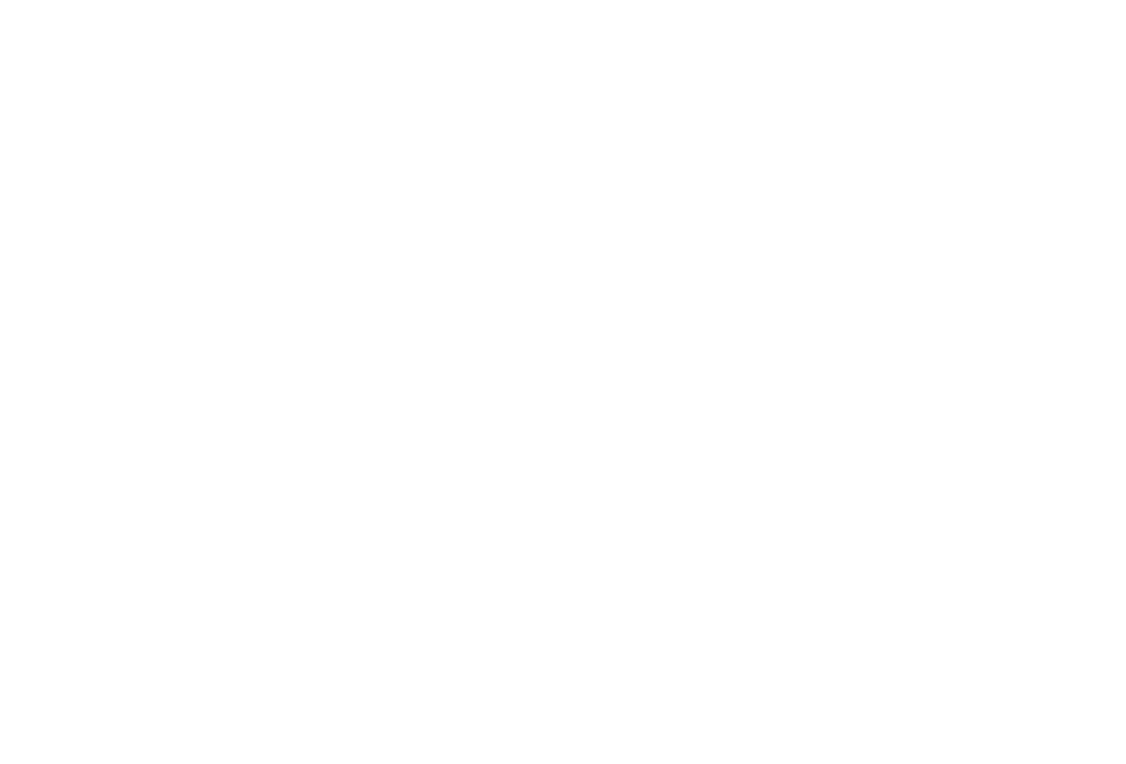 Bollock-Logo-white